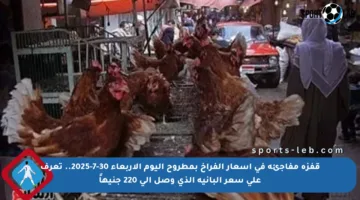 قفزة مفاجئة في أسعار الفراخ بمطروح اليوم الأربعاء 30-7-2025.. تعرف على سعر البانيه الذي وصل إلى 220 جنيهاً
